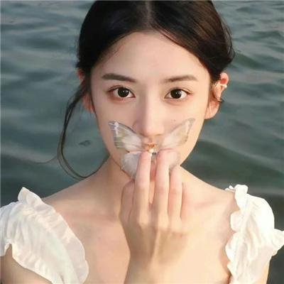 相思树